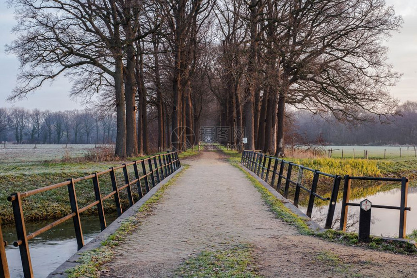 步行户外软垫荷兰的木环桥和林地板具有平静的河流概念荷兰的木环桥和林地板拥有平静的河流与荷兰森林图片