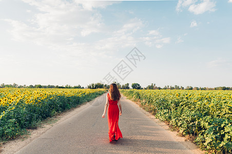 女孩穿着红裙子的女在路上走着向日葵小路头发图片