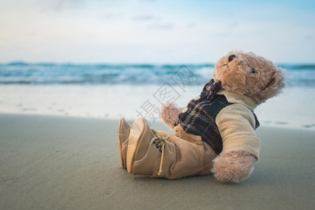 沙滩上的泰迪熊玩具图片