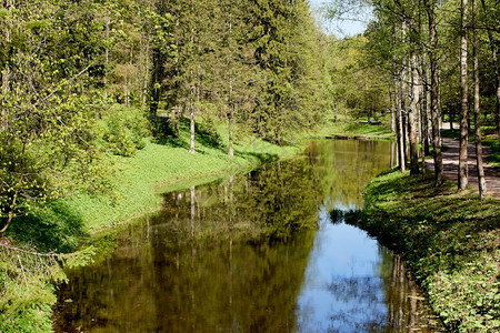 风景优美清除春天森林河流景观树木景观春天公园里的河流丰富多彩图片