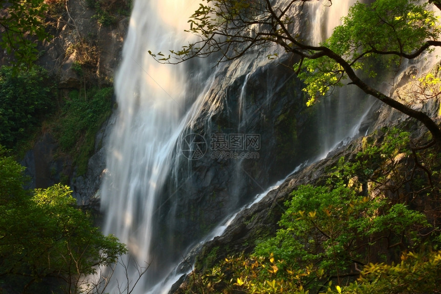 假期雨林中的瀑布自然流动图片