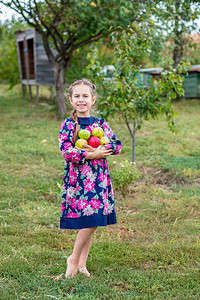 树绿色甜美的姑娘有苹果在花园的手农场花园里有苹果在花园里的手中时间图片
