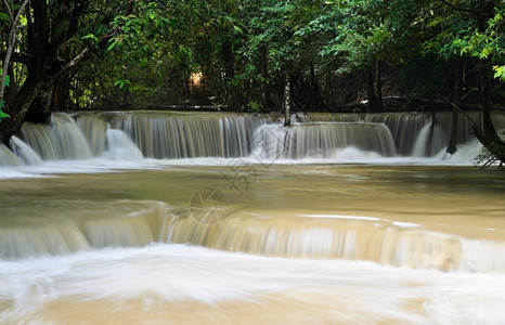 植物泰国热带雨林瀑泰国岩石墙纸图片