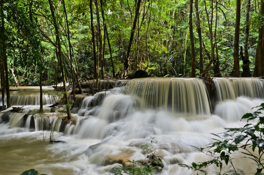 门户14泰国热带雨林瀑泰国树落下图片