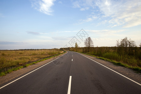 蓝色的让农村沥青路穿过田林和地绿植被树木横扫青林道路天气高速公路图片