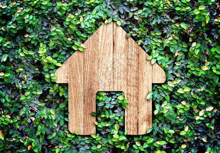杂草地毯绿叶墙上的家庭图标Eco家用系统图片