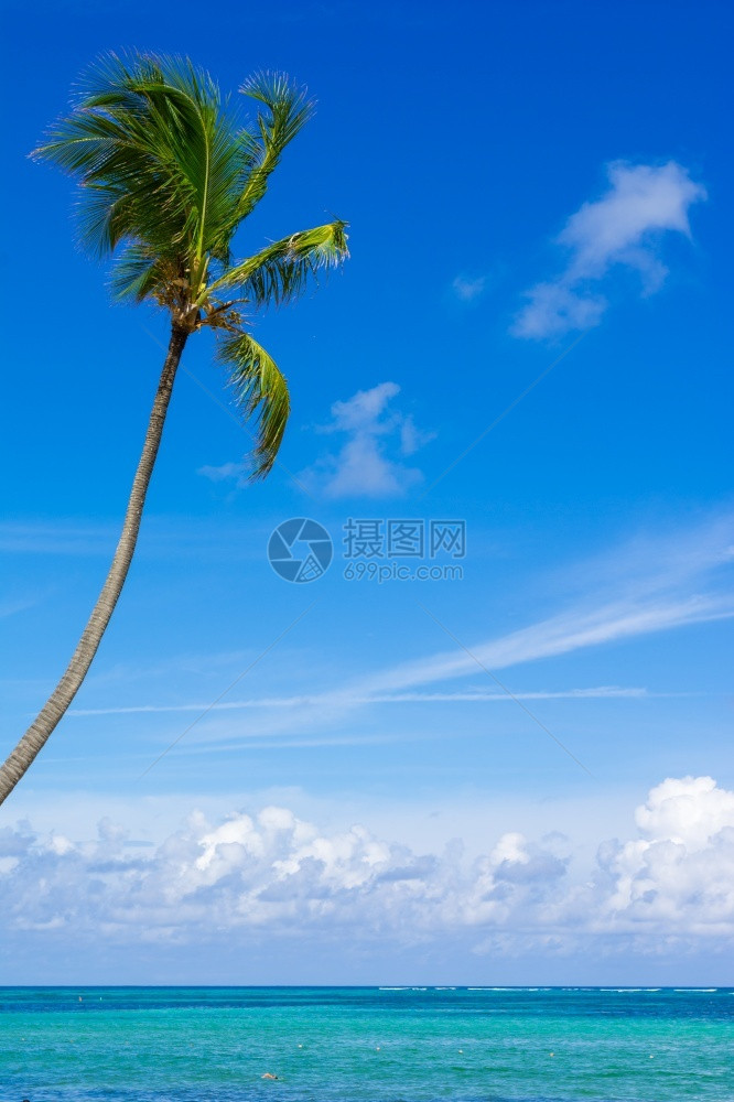 加勒比海景巴瓦罗滩多米尼加Puntacana热的蓝色天空图片
