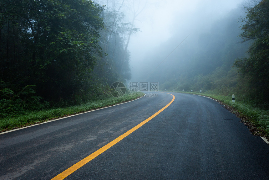 叶子驾驶沥青与自然林和雾雨相交的公路图片