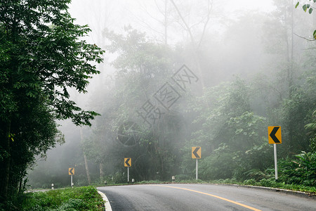 美丽冬天与自然林和雾雨相交的公路小图片