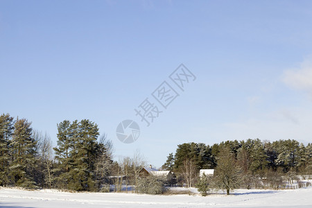 天空冬季风景树木覆盖着雪农场远离城市冬季风景住的地方很远居蓝色的图片