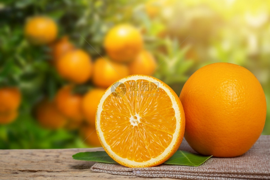 有机的成熟花园橙子桌图片