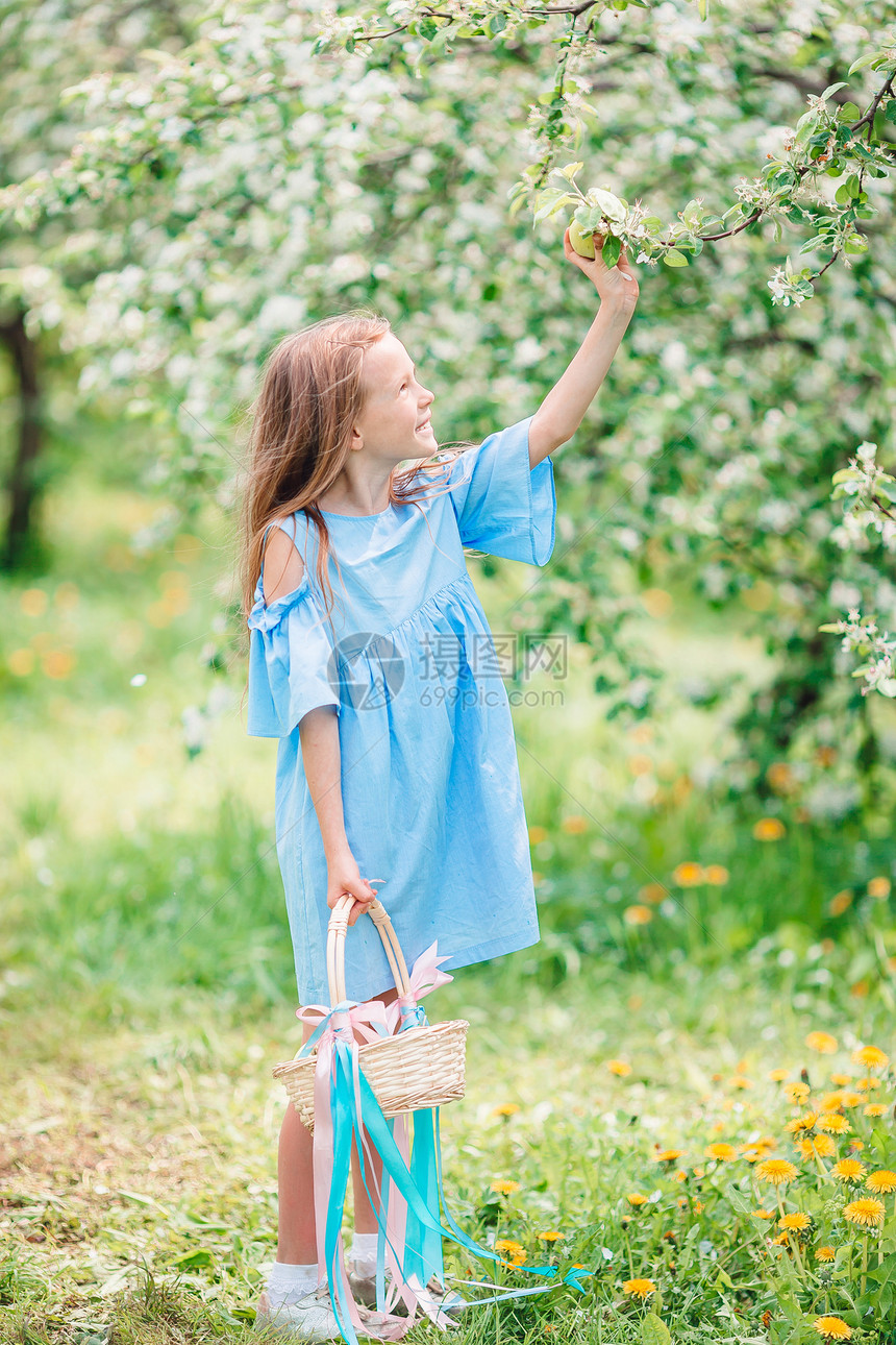 花园快乐春日盛开的苹果树园中美丽小女孩的画像美丽春日盛开苹果园中可爱小女孩快乐图片