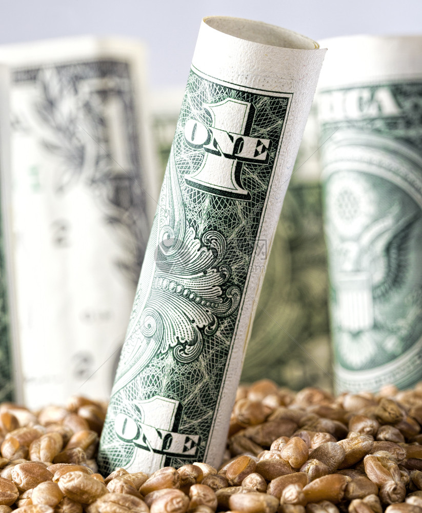 账单大量小麦谷物或一美元加其他现金钞票的黑麦以农用美元和其他现金结算以美元作为农业货币与其他现金结账纸豆图片