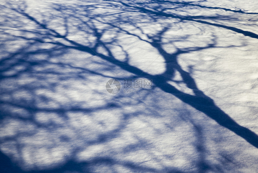 雪堆冻结阳光下的雪随树枝阴影飘动在附近生长没有叶子硬木和阳光下的雪漂流融化图片