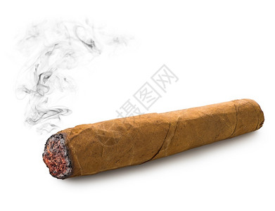 富有的一只黄雪茄白底色的一头古巴雪茄满意抽烟图片