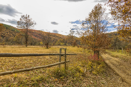 野生动物农村秋季地貌乡道路和木栅栏草树图片
