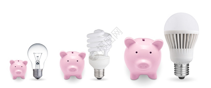 养猪银行和不同的灯泡储蓄资金的构想融硬币家图片