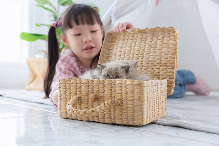 女孩们窗户国内的在家里木篮子玩猫的小女孩朋友概念在家中玩猫图片