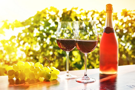 水果植物柴金红酒和葡萄图片