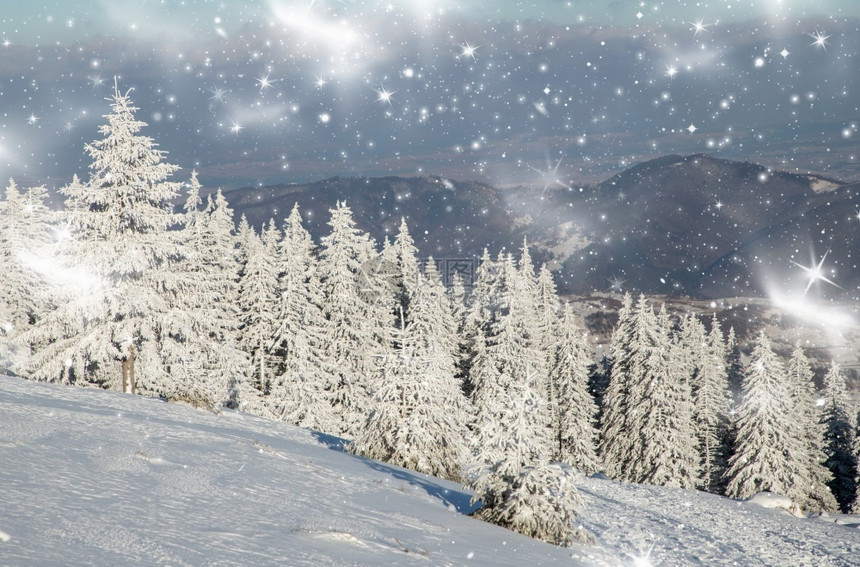 令人惊叹的冬季风景有雪卷毛树假期山冷冻图片