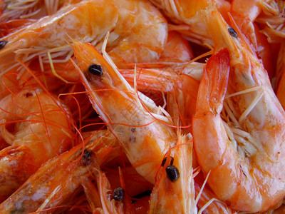 沙拉红虾背景新鲜的王图片