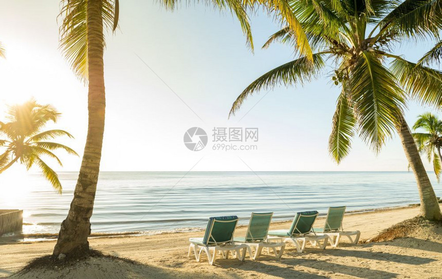 水边沙滩上有棕榈树和甲板椅图片