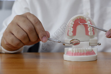 牙齿模型工具治疗概念图片