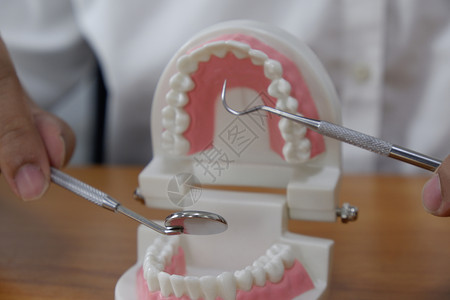 牙齿模型工具假牙治疗概念图片