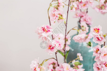 花草和樱背景纹理近身美貌花草与樱背景纹理柔软的木头花瓶图片
