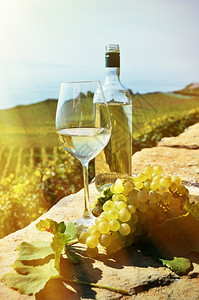 水果瑞士拉沃葡萄和酒生活蒙特勒图片