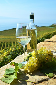 文化瑞士拉沃葡萄和酒阳台夏天图片