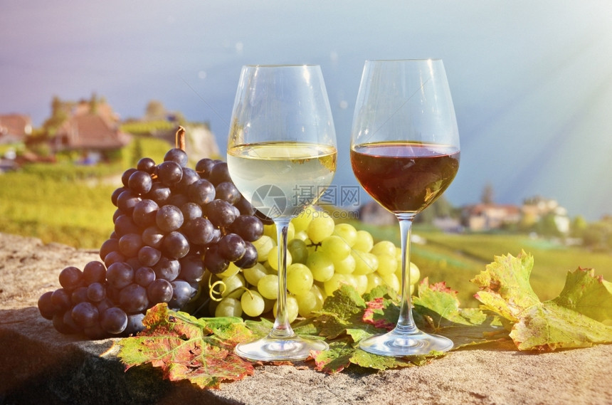 田园野餐湖瑞士拉沃葡萄和酒图片