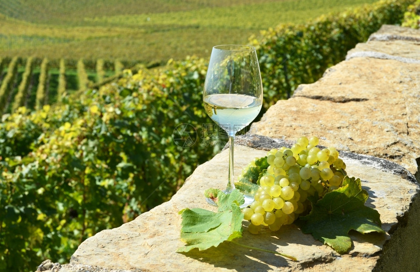 野餐日内瓦农村瑞士拉沃葡萄和酒图片