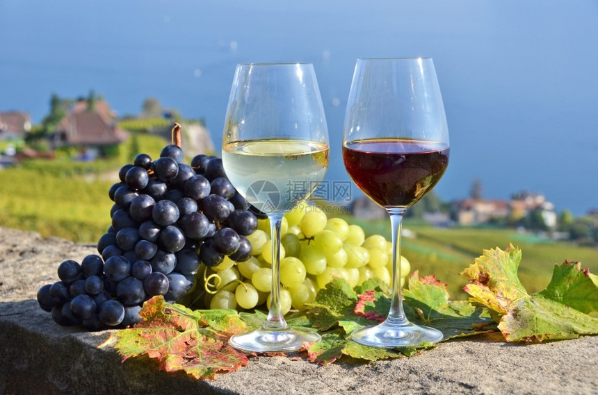 阳台生产瑞士拉沃葡萄和酒开瓶器图片
