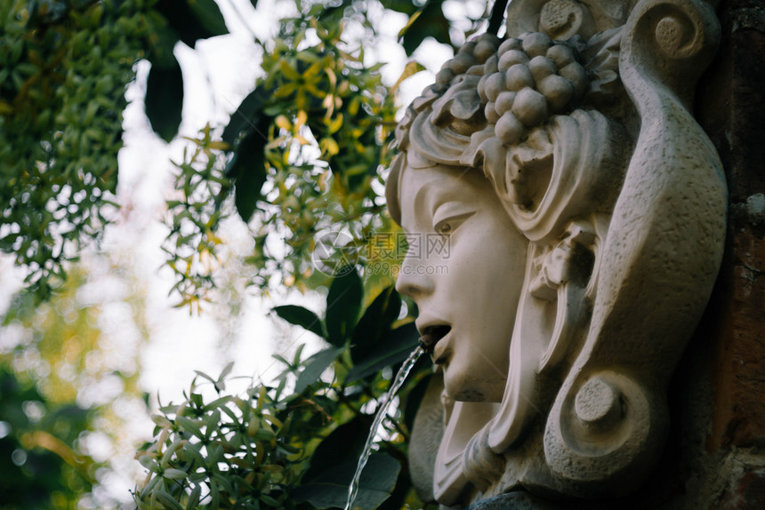 旅行花园里的女头喷泉热带彼得雷亚图片