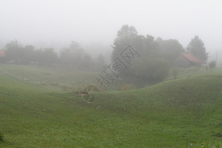 宁静地面隐清晨雾的农村风景图片