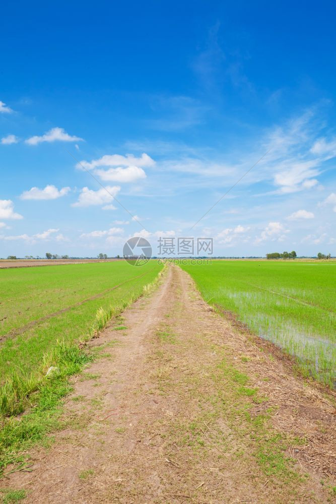 农场车胎蓝天空绿地的离路轨道图片