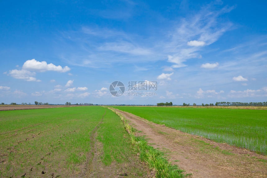 追踪环境荒芜蓝天空绿地的离路轨道图片