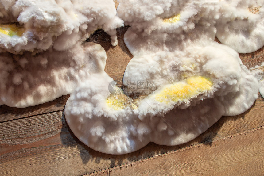 菌门科学疾病住宅楼地窖阁下室木板上的白黄色绒毛霉菌住宅楼地窖下室的木板上白色黄绒毛霉菌图片