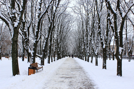 雪后的道路图片