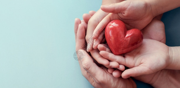 胆固醇血液同情在水底背景心脏健康捐赠企业社会责任概念世界心脏病日卫生家庭等方面握着红心的背景图片