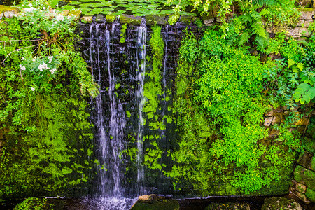 宁静跑步巨大的美丽流水瀑布热带园艺建筑自然环境背景图片
