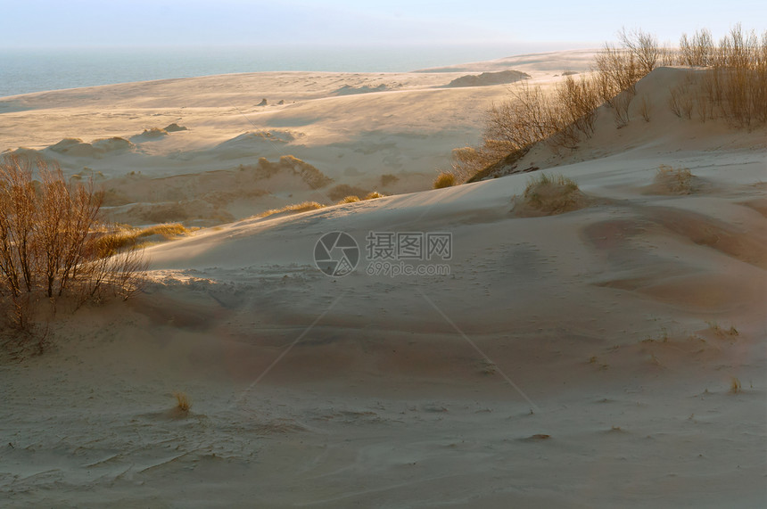 沙丘和海山坡岸的草地图片