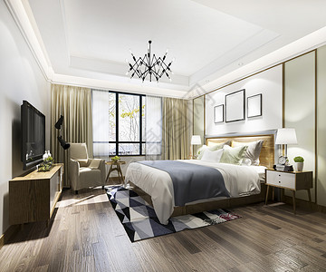 3d提供美丽的豪华卧室套房在酒店与电视翻新公寓沙发图片