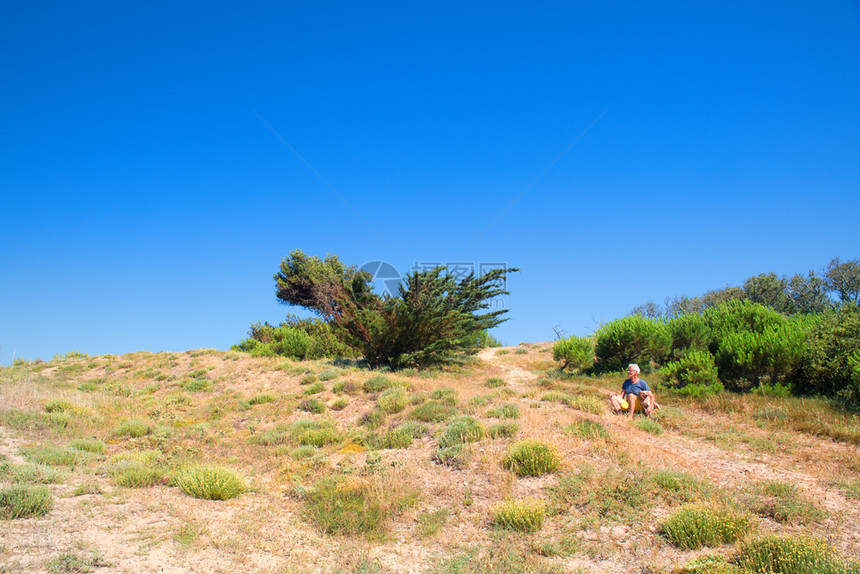 瑞IledeRe高级男子与狗一起坐在沙丘上欧洲岛图片