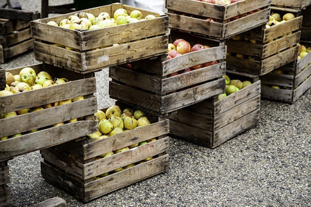 木制箱中的苹果新鲜水饮食和健康的详细信息木制箱中的苹果维他命白色的满图片