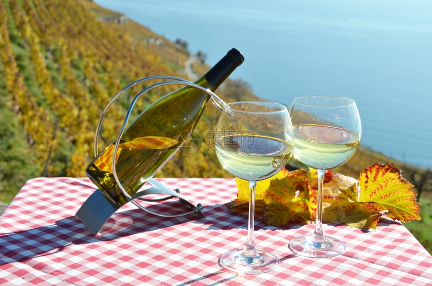 秋天乡村的瑞士拉沃葡萄和酒开瓶器图片
