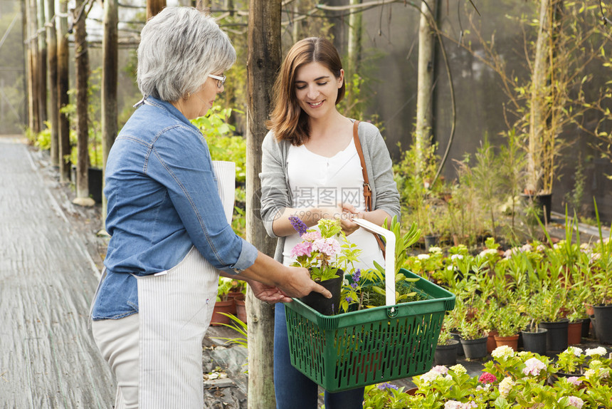 自然美成熟的花店商帮助女顾客选择植物一种买图片