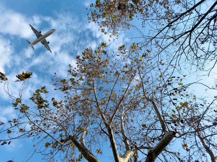 空中飞机在森林上空行下视线客机绿色花园图片