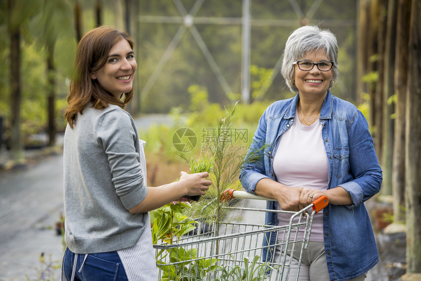 温室工作职业帮助老年女客户选择植物的花粉店商图片